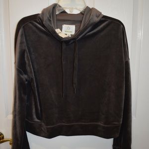 Gray velour sweatsuit from Aerie XS